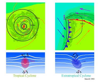 The top schematics show horizontal maps of the surface temperature and wind fields associated with a tropical cyclone (left) and an extratropical cyclone (right). Colors indicate temperature (blue: 15°C=59°F, blue-green: 20°C=68°F, green: 25°C=77°F). Solid lines indicate surface wind speeds (34 kt=39 mph and 64 kt=74 mph). The bottom schematics show vertical maps of the pressure surfaces and circulation at the surface and tropopause.