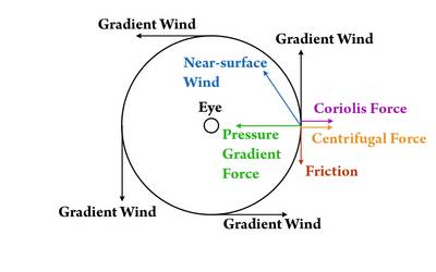 Primary circulation of a hurricane with the force balance. The pressure gradient force (green line in this graphic) is directed to the left of the wind towards the low pressure center in the eye. The Coriolis force (purple line) and centrifugal force (orange line) are directed to the right of the wind away from the eye. The balance of these three forces is called gradient wind balance. Close to the earth's surface, a fourth force, friction (red line), opposes the gradient wind. Friction slows down the wind, which reduces the Coriolis force and the centrifugal force but does not affect the pressure gradient force. As a result, friction causes the wind near the earth's surface to be angled inward towards the eye of the hurricane, contributing to the hurricane's secondary circulation.