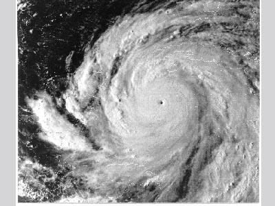Satellite image of Hurricane Gilbert.