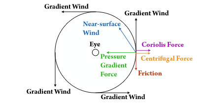 Primary circulation of a hurricane with the force balance