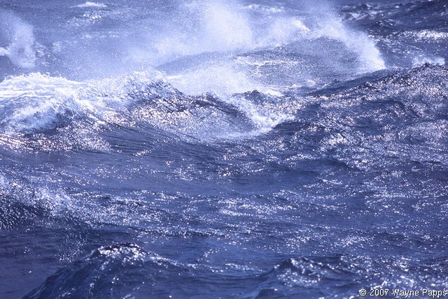 Strong winds generate sea spray over the ocean.
