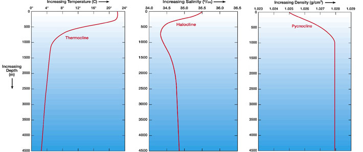 Profiles of temperature, salinity and density through the water column.