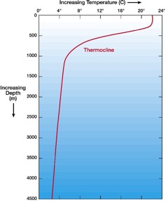 A simple temperature-depth ocean water profile (what you might expect to find in low to middle latitudes).