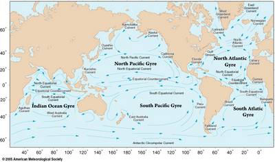 Map showing the major ocean surface currents and subtropical gyres.