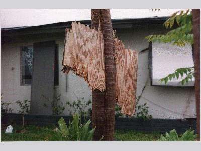 A photo of a piece of plywood embedded in a telephone pole.