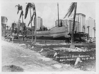 A large boat sitting inland amongst palm trees with city buildings close by.