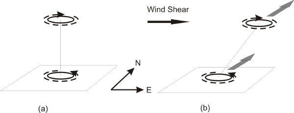 Wind shear pushes the anticyclone at storm top off to one side. The low level cyclone and the upper level anticyclone then push each other in one direction, in this case, toward the north.