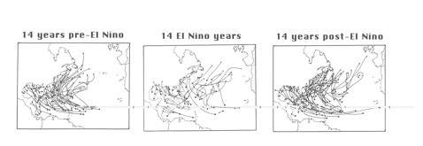 Maps showing North Atlantic hurricane tracks from the year prior, during, and after an El Nino