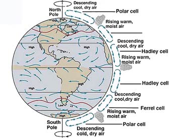 image of globe with surface wind patterns shown.